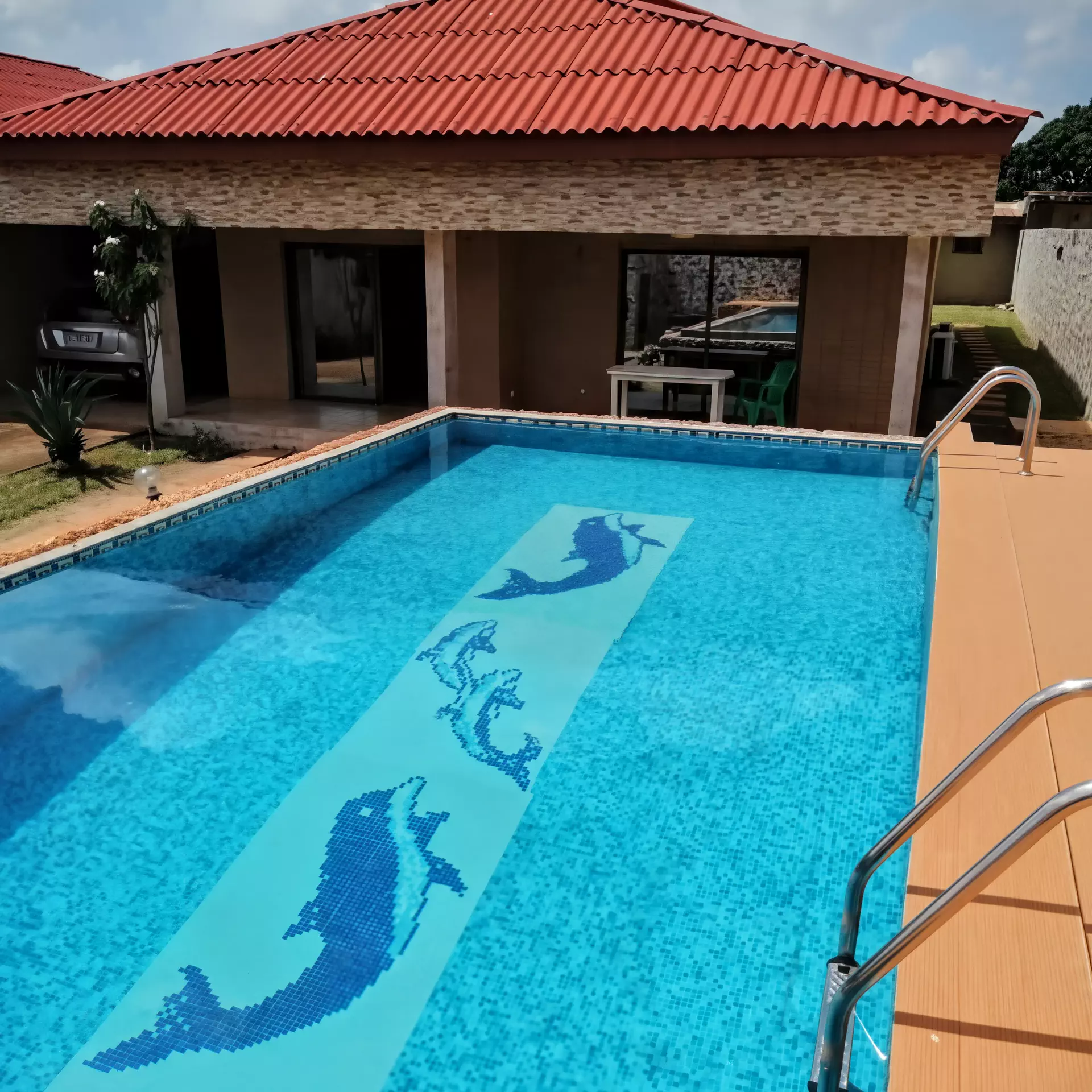 Piscine décorée de dauphins